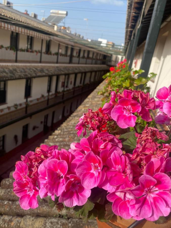 Apartament Alameda Center, Seville